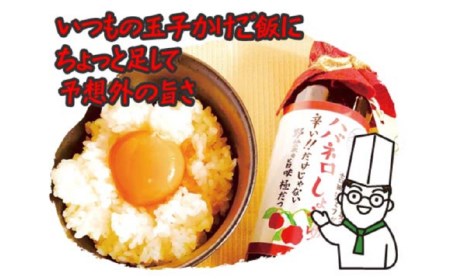 ハバネロしょうゆ 100ml《糸島》【シェフのごはんやさん四季彩】【いとしまごころ】[ACC009] 醤油 タレ お試し 小さいサイズ 少量 国産 ハバネロ 唐辛子