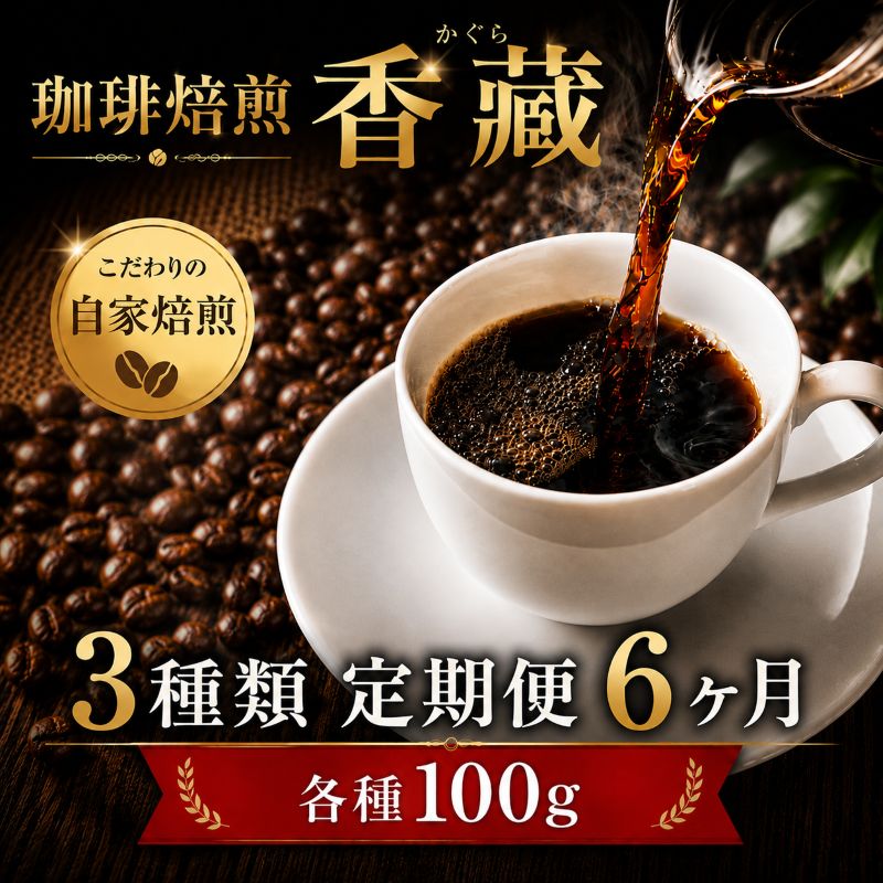 【ふるさと納税】 定期便 6回 コーヒー 豆 100g 3種類 毎月お届け おまかせ バラエティー セット