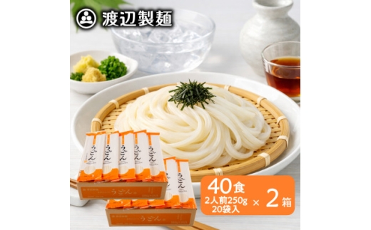 うどん80食[1袋250g2人前×20袋×2箱(計10kg)]乾麺 信州八ヶ岳よりお届け【1753803】