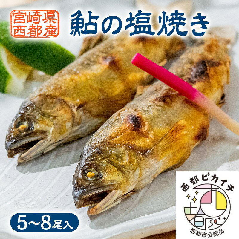 鮎の塩焼きギフト（5〜8尾入り）個包装 あゆ 宮崎県 西都市
