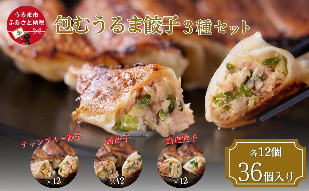 包むうるま餃子 3種セット（島餃子・鶏塩餃子・チャンプルー餃子）