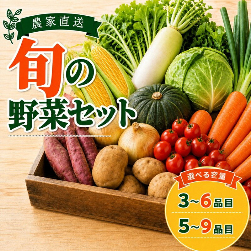 【ふるさと納税】 旬 野菜 詰め合わせ 【 選べる容量 】 5～9品目 3～6品目 先行予約 やさい 野菜詰め合わせ おまかせ トウモロコシ サツマイモ ミニトマト タマネギ キャベツ ジャガイモ 大根 人参 ネギ カボチャ yasai ふるさと納税 千葉県 銚子市 送料無料 サンズファーム