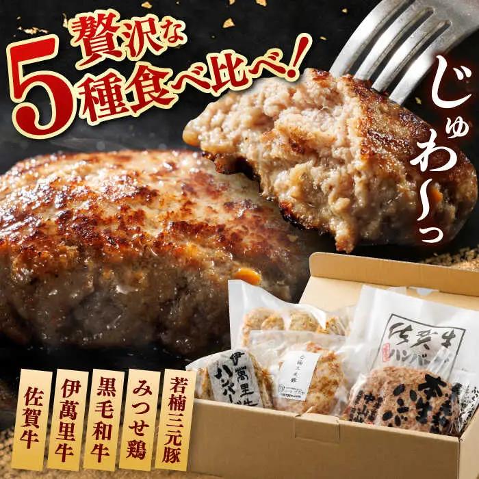 佐賀県内ハンバーグ食べ比べ / 佐賀県 / 東京竹八株式会社 [41AADH025]