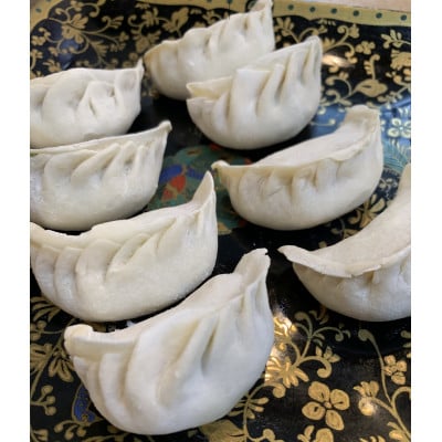 ぎょうざ楼の唯一無二の手打ち餃子60個(20個×3パック)　餃子1つ約30g!【配送不可地域：離島】【1397898】