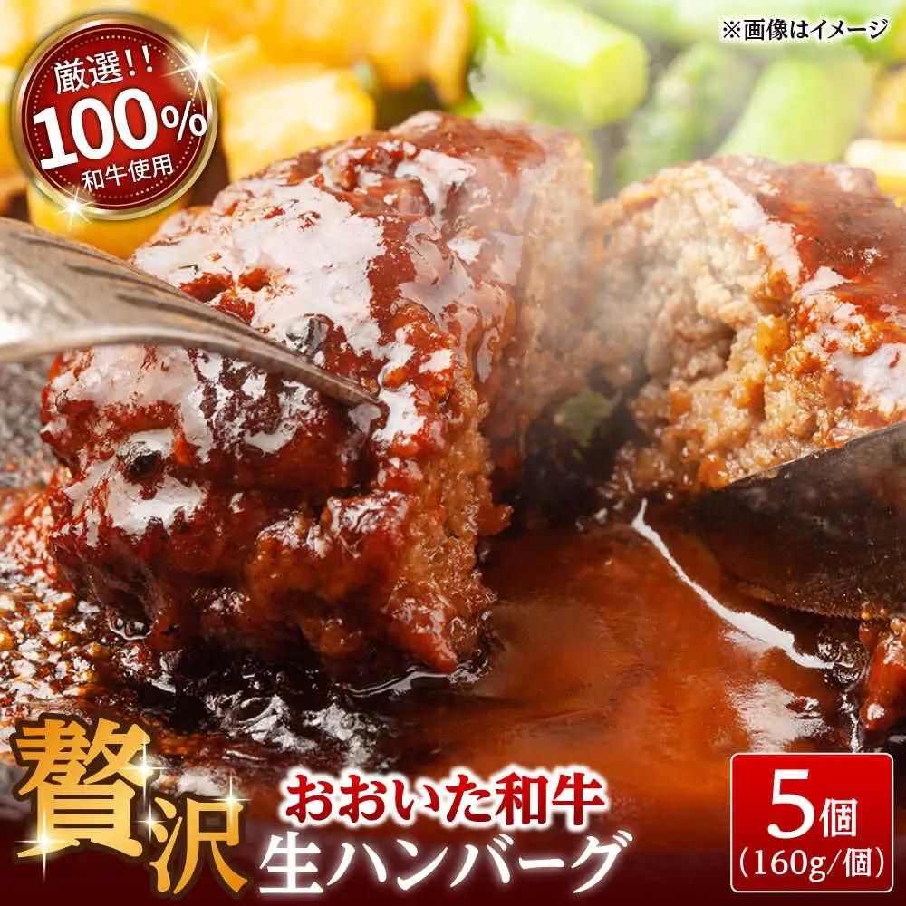 厳選 おおいた和牛100% 生ハンバーグ 160g×5個 日田市 おおいた和牛 牛肉 ハンバーグ [ARFE003]