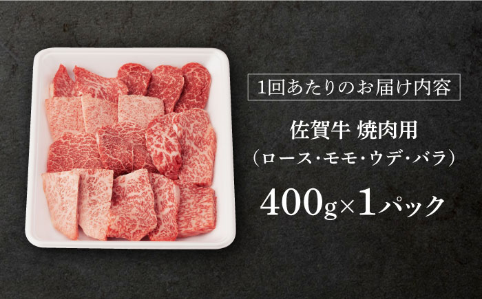 【12回定期便】 佐賀牛 A5 焼肉用 厳選部位 (ロース・モモ・ウデ・バラ) 400g (総計 4.8kg)【桑原畜産】 NAB031