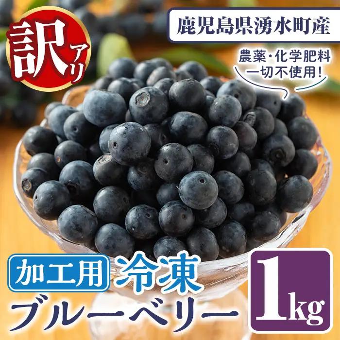 先行予約 訳あり 加工用 無農薬 冷凍 ブルーベリー 1kg 果物 フルーツ ベリー【体験型観光農園さつまドリームファーム】_y528
