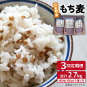 【ふるさと納税】【全3回定期便】白石産 もち麦 900g（300g×3袋）/回（総計2.7kg）【道の駅しろいしカンパニー】モチ麦 もちむぎ 小分け 健康 雑穀米 雑穀 お米 [IAA034]