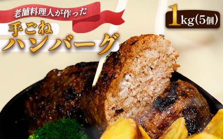 訳あり手ごねハンバーグ 200g×5個 【 訳ありハンバーグ ハンバーグ ハンバーグ ハンバーグ ハンバーグ ハンバーグ 】