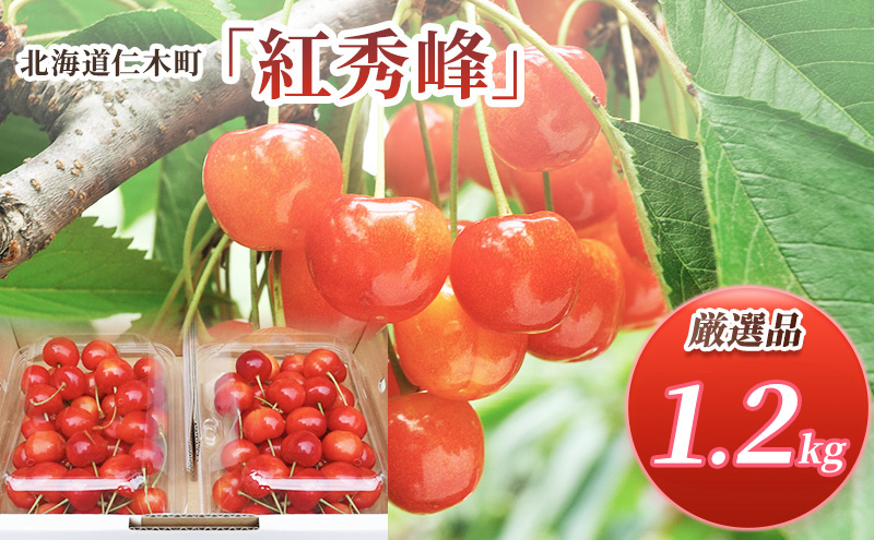 2026年発送 北海道 仁木町産 さくらんぼ 紅秀峰 1.2kg (300g×4パック) L-Mサイズ 混合 旬 桜桃 産地直送 サクランボ チェリー フルーツ 果物 果物類 仁木町 仁木 [松山商店]