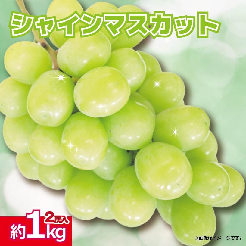
            【先行予約】 シャインマスカット 果物 ぶどう 2房 約 1kg ＜出荷時期：2025年8月中旬～9月中旬頃＞ 葡萄 秋の味覚 甘い フルーツ お中元 徳島県 阿波市
          