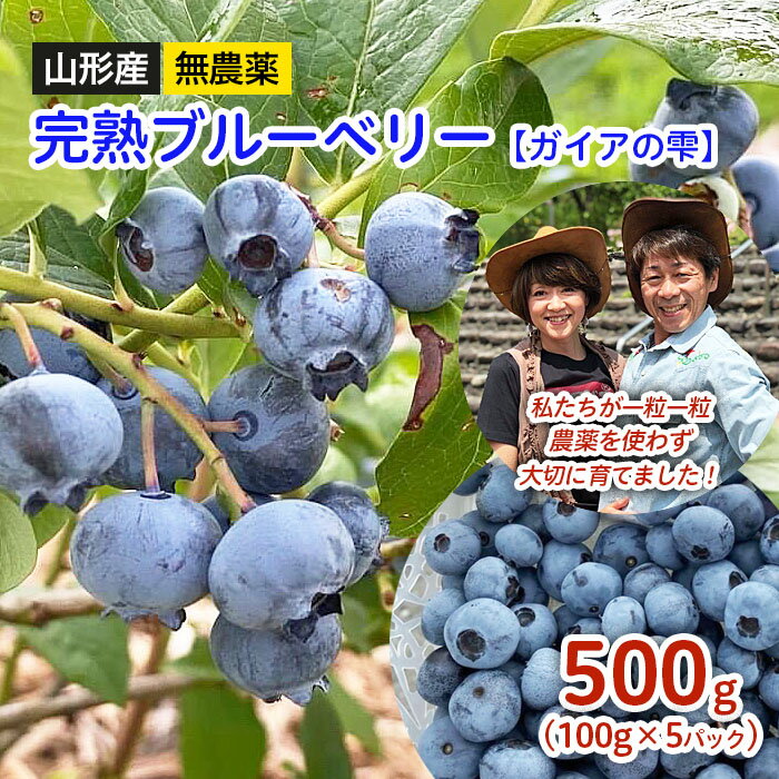 【ふるさと納税】山形産 無農薬 完熟ブルーベリー【ガイアの雫】500g(100g×5パック) 【令和7年産先行予約】FS24-500 くだもの 果物 フルーツ 山形 山形県 山形市 お取り寄せ 2025年産