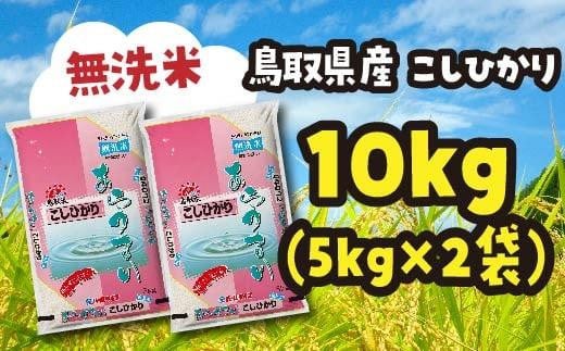米 無洗米 コシヒカリ 令和7年産 鳥取県産 10kg （ 5kg × 2 ）【こしひかり 国産 2025 R7年  人気 おすすめ 鳥取県 琴浦町 送料無料】
