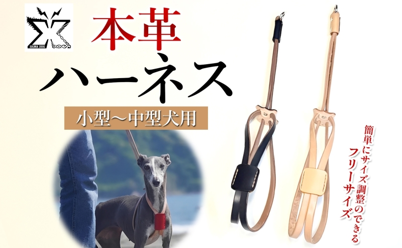 小型～中型犬対応スライドコントロールハーネス【ナチュラル】