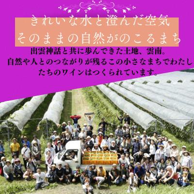 ふるさと納税 雲南市 白ワイン・ジュースセット(辛口白ワイン1本・ぶどうジュース1本) |  | 01