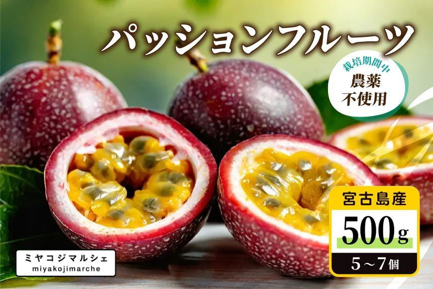 
            JH015　宮古島産 パッションフルーツ 栽培期間中農薬不使用（500g）【(株)フラモン】
          