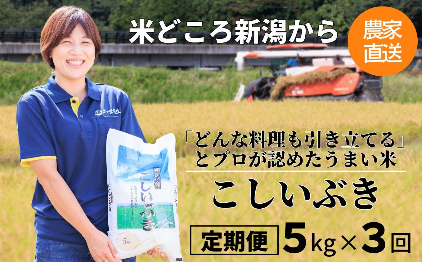 
令和6年産新米予約【定期便】プロが認めたうまい米『こしいぶき』定期便5㎏×3回 計15㎏ 新潟県糸魚川産 農家直送 おいしいお米をお届けします 2024年 毎月お届け 【米 お米 こめ コメ おすすめ ギフト 5キロ 先行予約 精米 白米 3ヶ月 3か月 3回】
