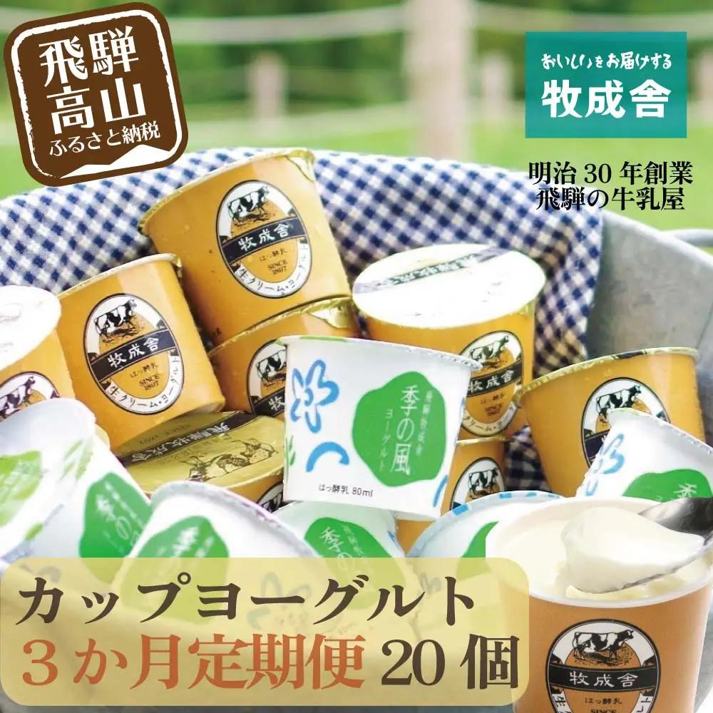 【定期便3か月】飛騨のカップヨーグルト20個セット 毎月1回お届け ヨーグルト2種類 DF108