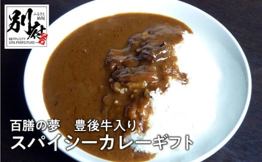 
百膳の夢　豊後牛入りスパイシーカレーギフト
