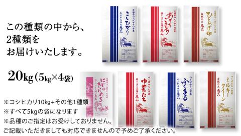 【新米先行予約開始！ / 11月下旬出荷分】《 令和6年産 》茨城県産 米 2種 食べ比べ セット 精米 20kg （ コシヒカリ 10kg +その他1種）【各月 数量限定】　こしひかり 米 コメ