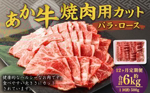 【12ヶ月定期便】 あか牛 焼き肉用 カット （バラ、ロース） 500g 計6kg 牛肉 牛 お肉 肉 焼肉 焼き肉 焼きにく BBQ おかず 冷凍
