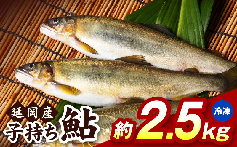 【冷凍】子持ち鮎約2.5kg N070-YC425-2