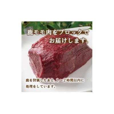 ふるさと納税 愛南町 愛南ジビエ の 鹿 モモ 肉 800g ( 200g × 4パック ) 国産 天然 鹿肉 ジビエ 肉 |  | 01