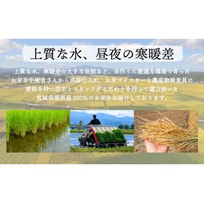 ふるさと納税 栗原市 【令和6年産】宮城栗原産 だて正夢 玄米10kg (10kg×1袋) |  | 03
