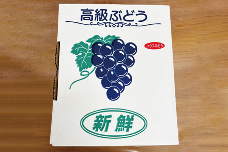 【先行予約】【期間限定】シャインマスカット２房【茨城県共通返礼品/石岡市】【農家直送 果物 甘い 糖度 人気 フルーツ 葡萄 ぶどう ブドウ マスカット 種なし 減農薬 安全 安心 厳選 茨城県】（K