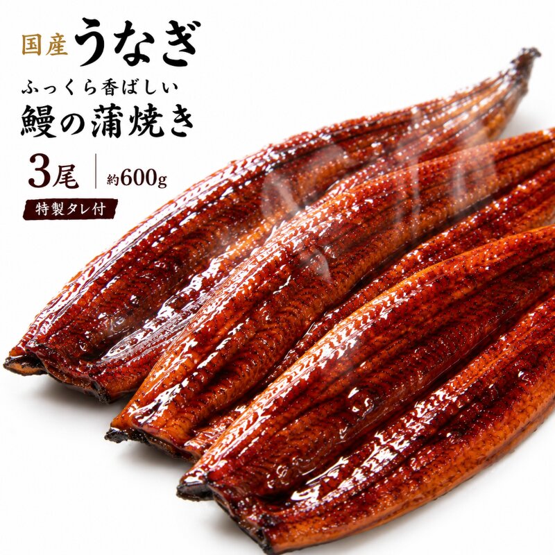 【国産うなぎ】ふっくら香ばしい 鰻の蒲焼き 3尾 容量600g 特製タレ付 うなぎ ウナギ 蒲焼 うな重 温めるだけ 湯せん ギフト 贈り物