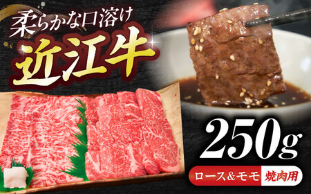 近江牛ロース＆モモ(焼肉)250g BIBE046 近江牛