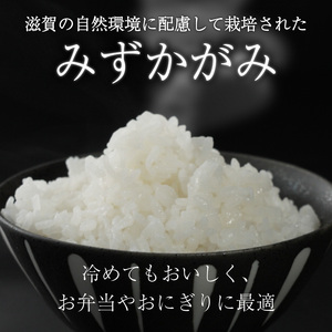 【6ヶ月定期便】みずかがみ 10kg 令和7年産 ミズカガミ 定期便 お米 米