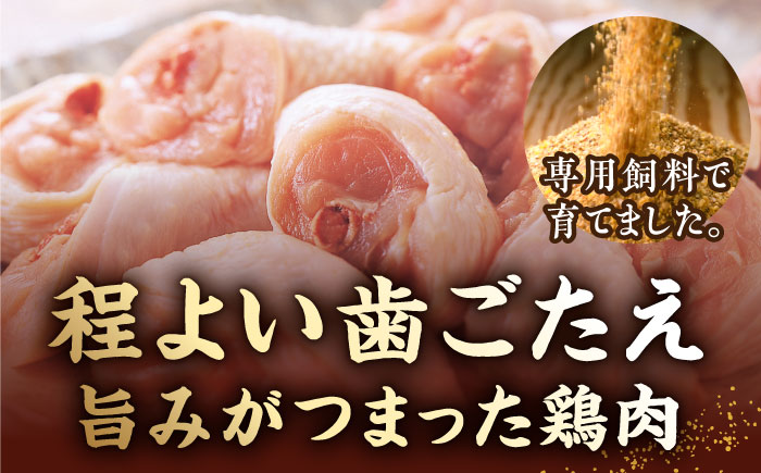 【全3回定期便】博多華味鳥 水炊き セット ちゃんぽん付き  3〜4人前 《築上町》【トリゼンフーズ】博多 福岡 鍋 鶏 水たき みずたき [ABCN012] 33000円  33000円 