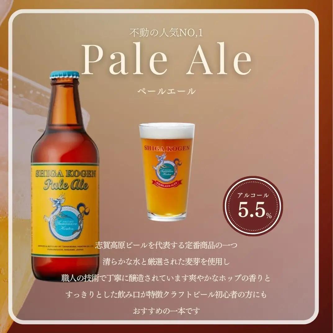 定期便 3ヶ月 クラフトビール 志賀高原ビール 12本 セット 玉村本店 クラフトビール