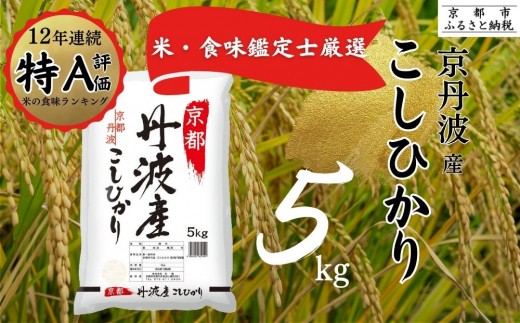 令和7年産 新米 京都丹波産 こしひかり 5kg ※米食味鑑定士厳選 ※精米したてをお届け【京都伏見のお米問屋が精米】米 令和7年産 ※沖縄本島・離島への配送不可 ※2025年11月上旬頃より順次発送予定