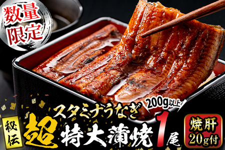 【数量限定】鹿児島県産！秘伝の特上スタミナうなぎ超特大蒲焼き1尾＜200g以上！＞焼肝20g付き！ a1-101