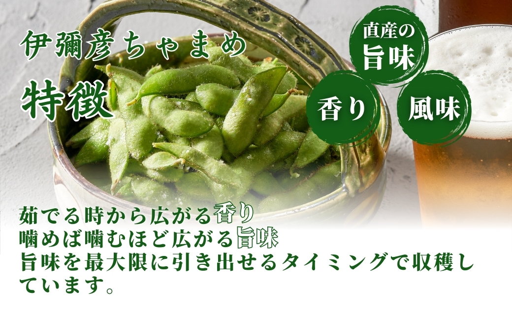 《先行予約》 ≪レンジ対応袋≫新潟夏の味覚!濃厚な甘さと芳醇な香り『伊彌彦ちゃまめ』＜弥彦村特産＞ | 濃厚な甘さ 芳醇な香り 弥彦村特産 特産品 茶豆 枝豆 野菜 つまみ おつまみ えだまめ エダマ