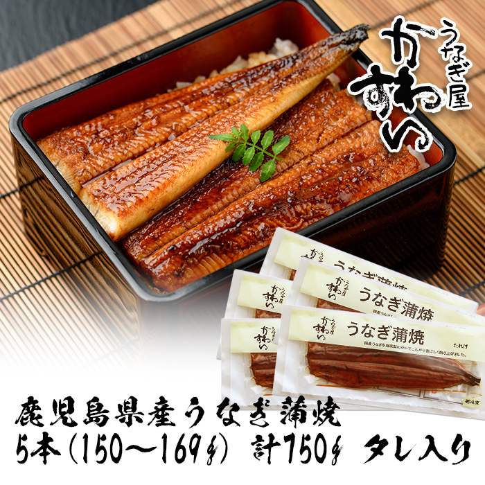 【7営業日以内に発送！】＜うなぎ屋かわすい＞鹿児島県産 国産うなぎ蒲焼 (計750g以上 / 1本あたり150～169g×5本) タレ入り 鰻 うな重 かばやき【川口水産】A857