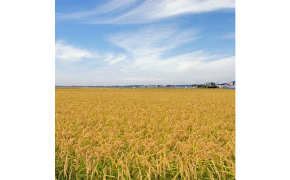 千葉県産粒すけ 5kg