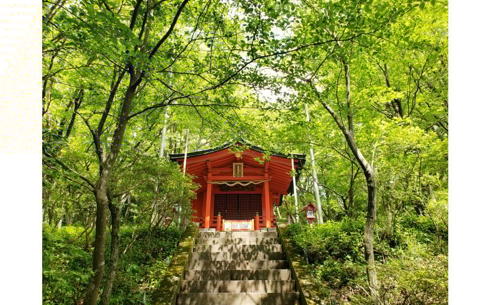 
            箱根 芦ノ湖！箱根神社水上鳥居と九頭龍神社本宮参拝モーターボートクルージング（40分コース）
          