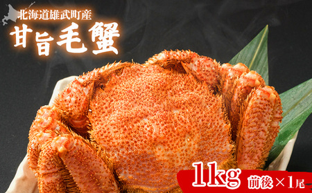 【北海道雄武町産】甘旨毛蟹 1kg前後1尾【07183】