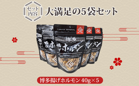 博多揚げホルモン(5袋セット) ホルモン 国産豚 唐揚げ おつまみ 送料無料