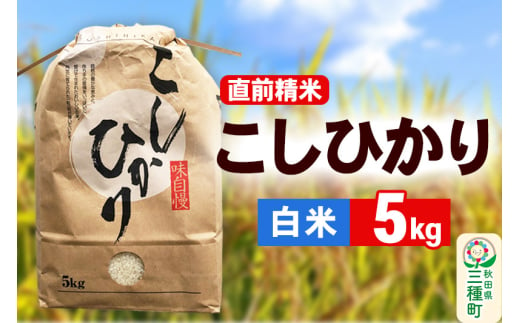 《新米》【精米】こしひかり 5kg（5kg×1袋）令和6年産 米 秋田県 三種町産