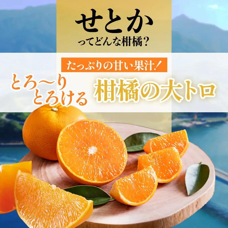 【先行予約】せとか（2kg）