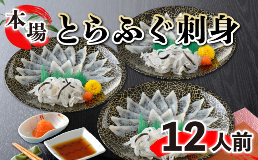 とらふぐ刺身 と 国産ふぐ刺身 大容量セット 冷凍 12人前 ふぐ とらふぐ 刺身 新鮮 魚  フグ刺し ふぐ刺し てっさ ふぐ皮 父の日 母の日 お中元 お歳暮 ギフト プレゼント 贈り物 贈答 感謝 魚介 海鮮 おつまみ