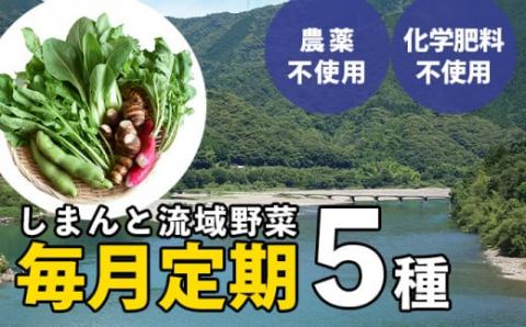 【栽培期間中、農薬・化学肥料不使用】しまんと流域野菜つめあわせ（5種類）(定期便12か月コース)／Rfkh-A02