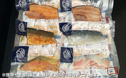 レンちん君漬魚6枚セット ほっけ さば さけ 鮭 秋鮭 西京漬 粕漬 釧路 北海道 F4F-8443
