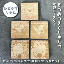 【ふるさと納税】ぜつめつきぐしゅんっ。 木製コースター5枚セット シロクマしゅん 送料無料