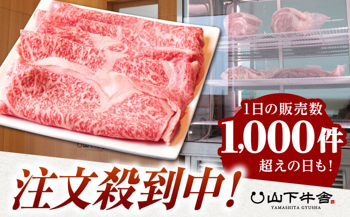 【霜降り A5ランク】佐賀牛 リブロース スライス 500g（しゃぶしゃぶ用）【山下牛舎】 [HAD040]