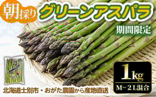 
            【B7076】《数量・期間限定》朝採り グリーンアスパラ(1kg・ M～2L混合)【2025年4月下旬以降発送予定】アスパラガス アスパラ 北海道産 野菜 朝採り 産地直送 新鮮野菜 【おがた農園】
          